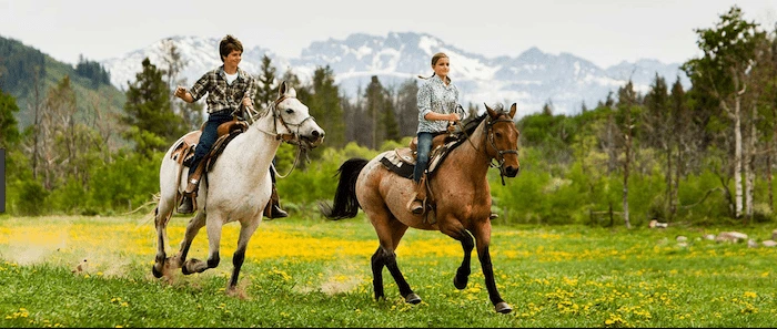 Confident plus-size woman riding Newbury a horse through a field with a smile on her face.
